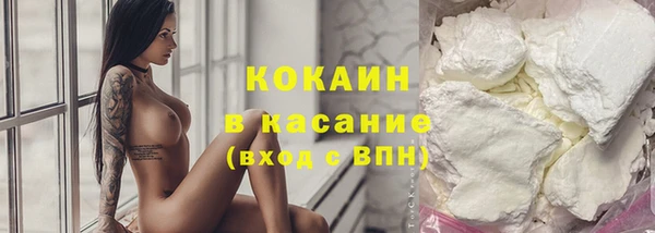 дживик Верея