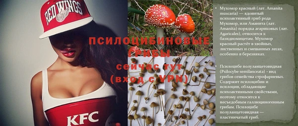 дживик Верея