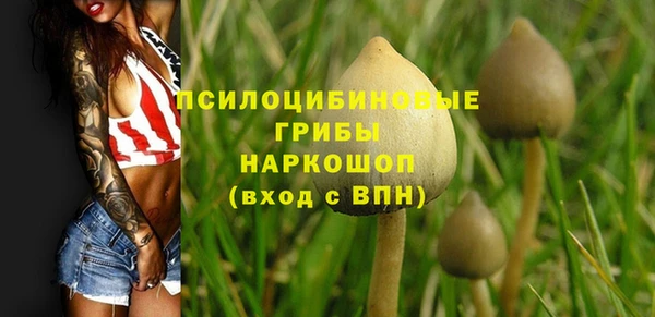 дживик Верея