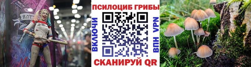 Псилоцибиновые грибы MAGIC MUSHROOMS Купить Магадан